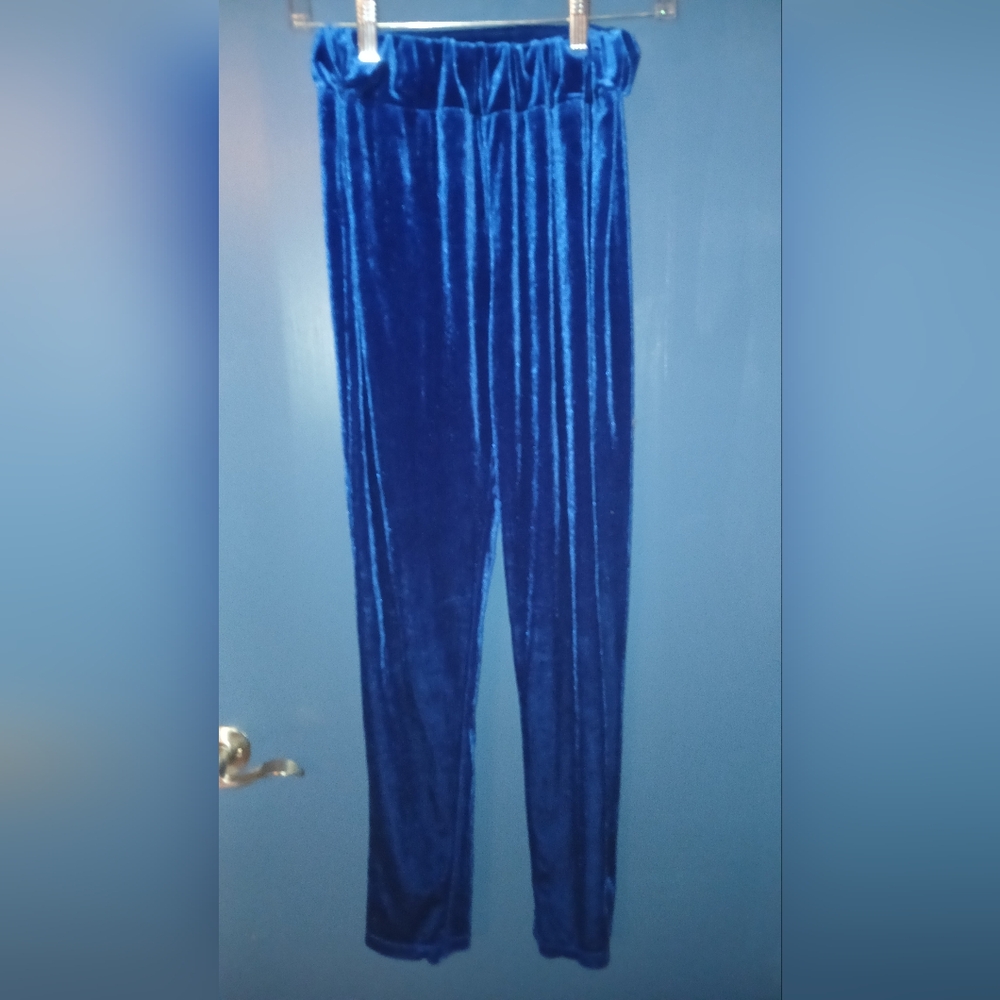 Source Unknown Women's Blue Velvet Cropped Pants